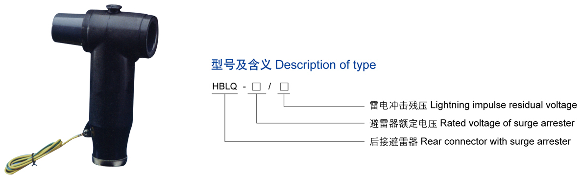 15KV欧式后接避雷器